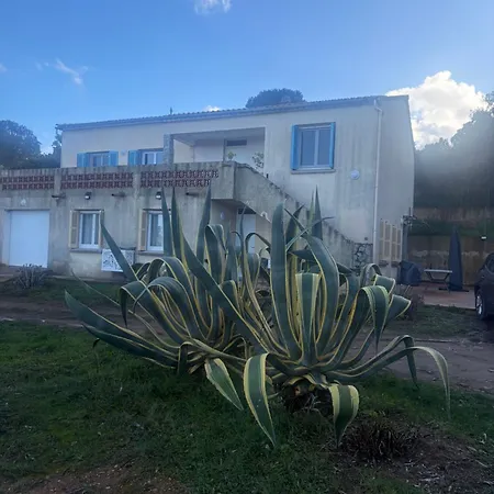 Bella Suare Casa vacanze Calenzana